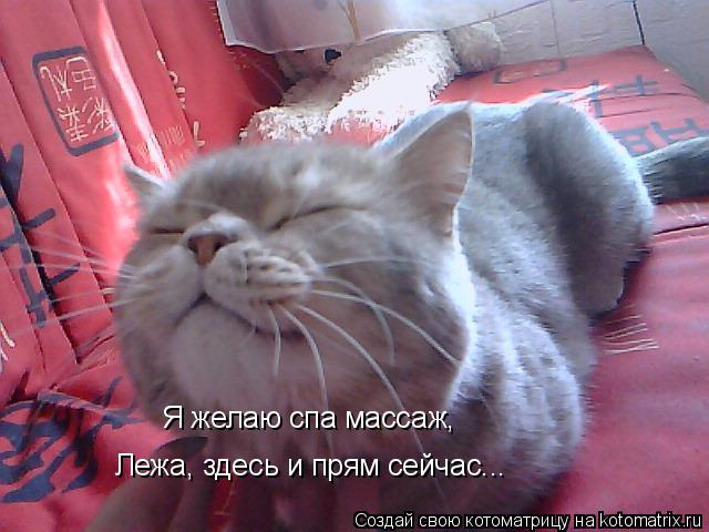 Я желаю спа массаж, Лежа, здесь и прям сейчас...... Котоматрица: Я желаю спа массаж, Лежа, здесь и прям сейчас...