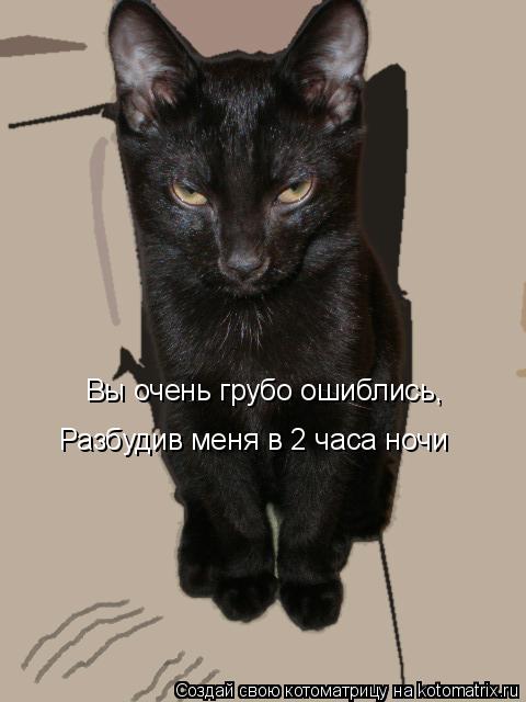 Вы очень грубо ошиблись, Разбудив меня в 2 часа ночи... Котоматрица: Вы очень грубо ошиблись, Разбудив меня в 2 часа ночи