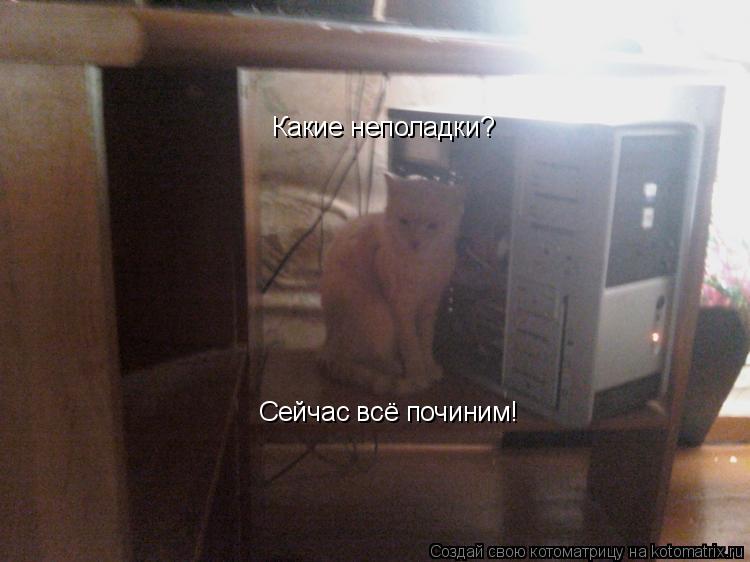 Какие неполадки? Сейчас всё починим!... Котоматрица: Какие неполадки? Сейчас всё починим!