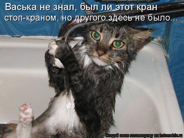 Васька не знал, был ли этот кран стоп-краном, но другого здесь не было...... Котоматрица: Васька не знал, был ли этот кран стоп-краном, но другого здесь не было...