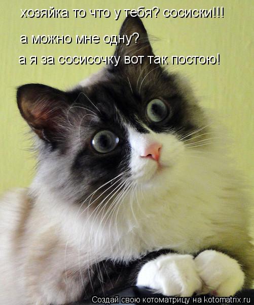 хозяйка это что у тебя? сосиски!!! а можно мне одну а я за сосисочку вот так постою! хозяйка это что ... Котоматрица: хозяйка это что у тебя? сосиски!!! а можно мне одну а я за сосисочку вот так постою! хозяйка это что у тебя? сосиски!!! а можно мне одну а я за сос