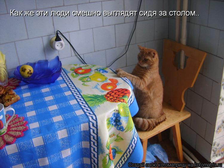 Как же эти люди смешно выглядят сидя за столом..... Котоматрица: Как же эти люди смешно выглядят сидя за столом..