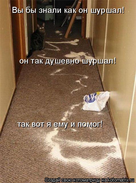 Вы бы знали как он шуршал! он так душевно шуршал! так вот я ему и помог!... Котоматрица: Вы бы знали как он шуршал! он так душевно шуршал! так вот я ему и помог!