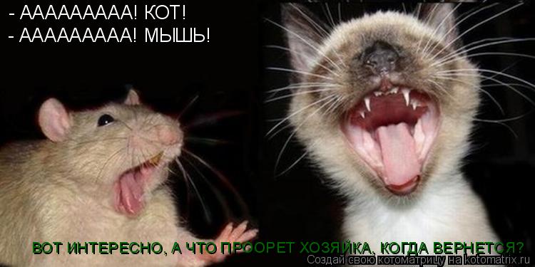 - ААААААААА! КОТ! - ААААААААА! МЫШЬ! ВОТ ИНТЕРЕСНО, А ЧТО ПРООРЕТ ХОЗЯЙКА, КОГДА ВЕРНЕТСЯ?... Котоматрица: - ААААААААА! КОТ! - ААААААААА! МЫШЬ! ВОТ ИНТЕРЕСНО, А ЧТО ПРООРЕТ ХОЗЯЙКА, КОГДА ВЕРНЕТСЯ?