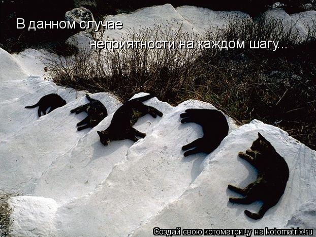 В данном случае неприятности на каждом шагу...... Котоматрица: В данном случае неприятности на каждом шагу...