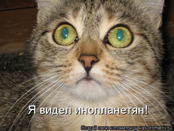 Я видел инопланетян!... Котоматрица: Я видел инопланетян!