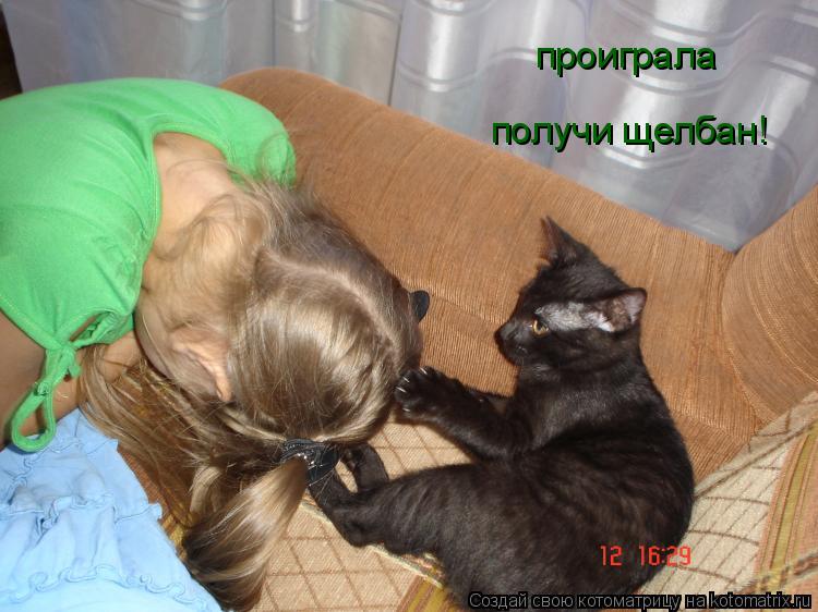 проиграла получи щелбан!... Котоматрица: проиграла получи щелбан!