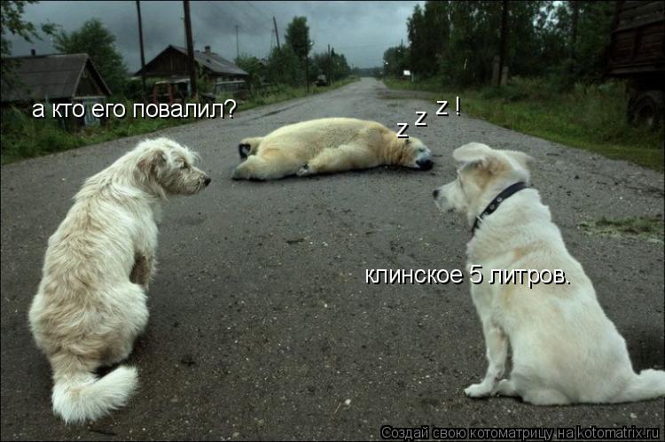 z z а кто его повалил? z ! клинское 5 литров.... Котоматрица: z z а кто его повалил? z ! клинское 5 литров.