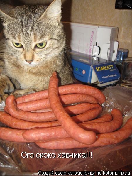 Ого скоко хавчика!!!... Котоматрица: Ого скоко хавчика!!!