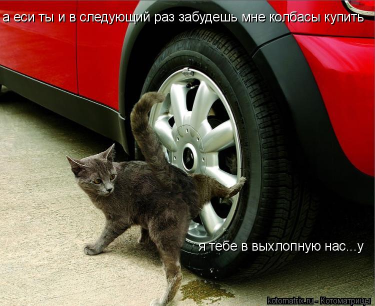 а еси ты и в следующий раз забудешь мне колбасы купить я тебе в выхлопную нас...у... Котоматрица: а еси ты и в следующий раз забудешь мне колбасы купить я тебе в выхлопную нас...у