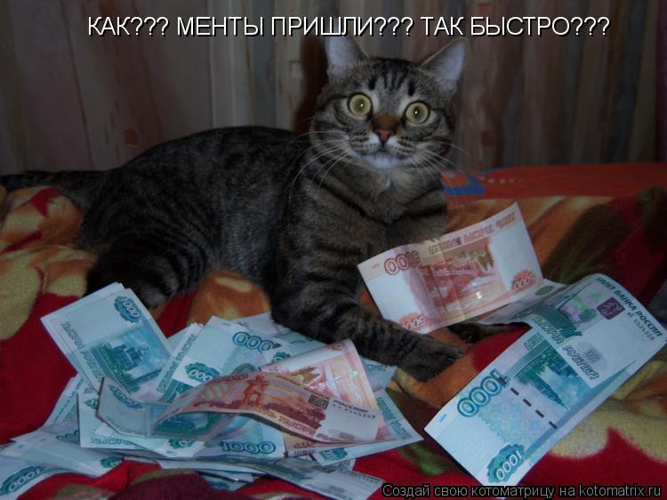 КАК??? МЕНТЫ ПРИШЛИ??? ТАК БЫСТРО???... Котоматрица: КАК??? МЕНТЫ ПРИШЛИ??? ТАК БЫСТРО???