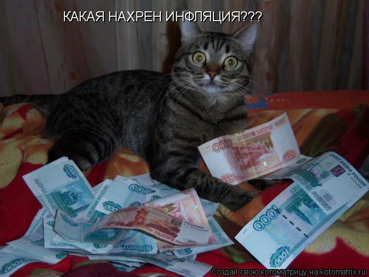 КАКАЯ НАХРЕН ИНФЛЯЦИЯ???... Котоматрица: КАКАЯ НАХРЕН ИНФЛЯЦИЯ???