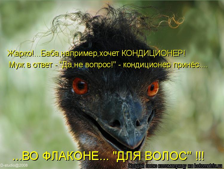 Жарко!...Баба,например,хочет КОНДИЦИОНЕР! Муж в ответ - "Да,не вопрос!" - кондиционер принёс.... ...В... Котоматрица: Жарко!...Баба,например,хочет КОНДИЦИОНЕР! Муж в ответ - "Да,не вопрос!" - кондиционер принёс.... ...ВО ФЛАКОНЕ... "ДЛЯ ВОЛОС" !!!