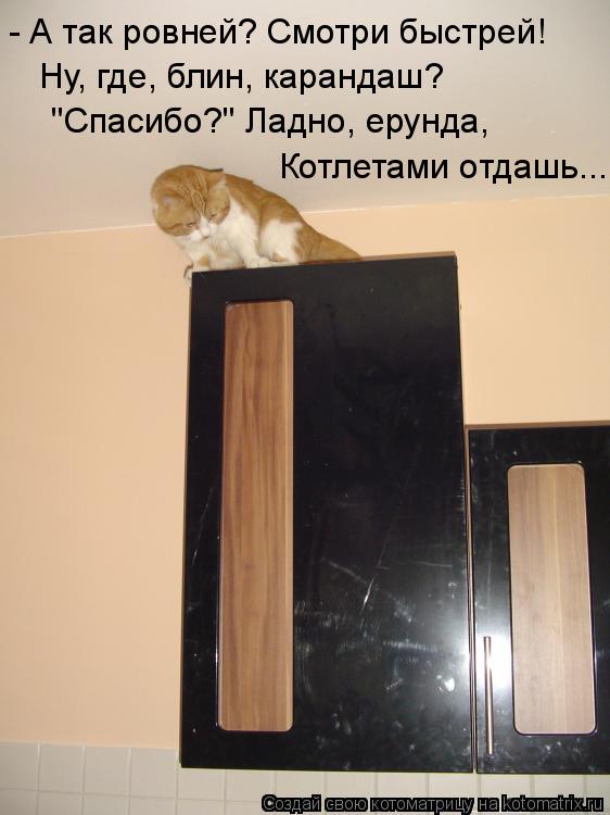 Котлетами отдашь... "Спасибо?" Ладно, ерунда, Ну, где, блин, карандаш? - А так ровней? Смотри быстре... Котоматрица: Котлетами отдашь... "Спасибо?" Ладно, ерунда, Ну, где, блин, карандаш? - А так ровней? Смотри быстрей!
