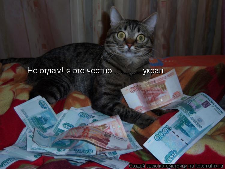 Не отдам! я это честно ............ украл... Котоматрица: Не отдам! я это честно ............ украл