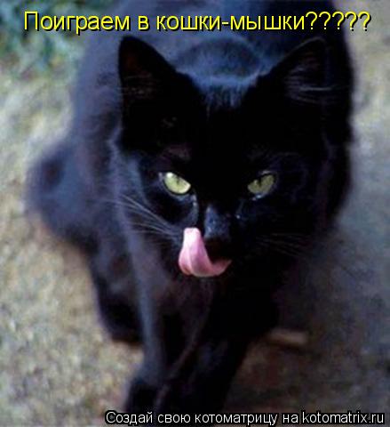 Поиграем в кошки-мышки?????... Котоматрица: Поиграем в кошки-мышки?????