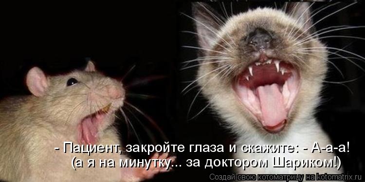 - Пациент, закройте глаза и скажите: - А-а-а! (а я на минутку... за доктором Шариком!)... Котоматрица: - Пациент, закройте глаза и скажите: - А-а-а! (а я на минутку... за доктором Шариком!)