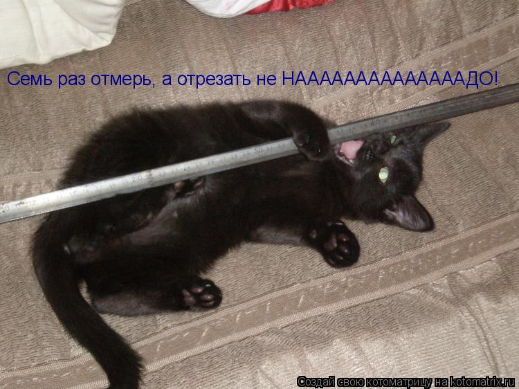 Семь раз отмерь, а отрезать не НААААААААААААААДО!... Котоматрица: Семь раз отмерь, а отрезать не НААААААААААААААДО!