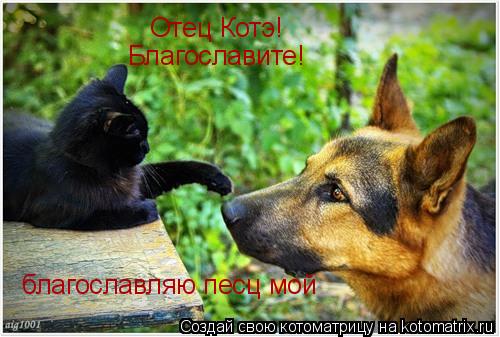 Отец Котэ! Благославите! благославляю песц мой... Котоматрица: Отец Котэ! Благославите! благославляю песц мой