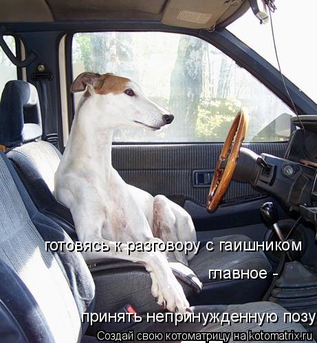 готовясь к разговору с гаишником главное - принять непринужденную позу... Котоматрица: готовясь к разговору с гаишником главное - принять непринужденную позу