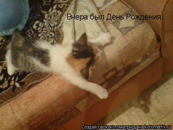 Вчера был День Рождения...... Котоматрица: Вчера был День Рождения...