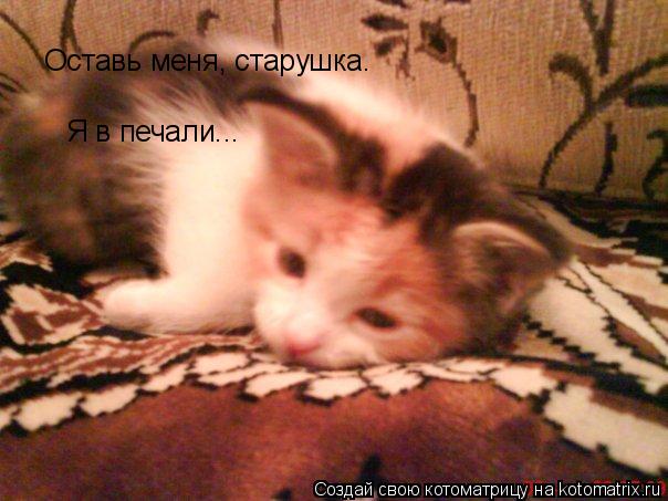 Оставь меня, старушка. Я в печали...... Котоматрица: Оставь меня, старушка. Я в печали...