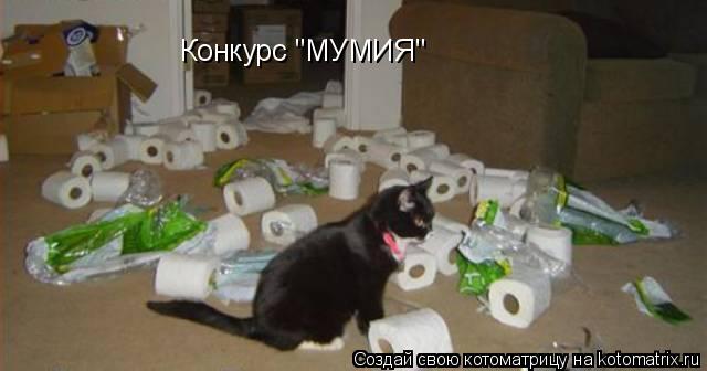 Конкурс "МУМИЯ"... Котоматрица: Конкурс "МУМИЯ"