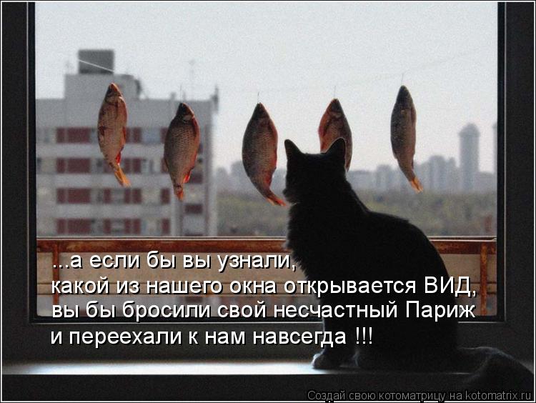 какой из нашего окна открывается ВИД, вы бы бросили свой несчастный Париж и переехали к нам навсегда ... Котоматрица: какой из нашего окна открывается ВИД, вы бы бросили свой несчастный Париж и переехали к нам навсегда !!! ...а если бы вы узнали,