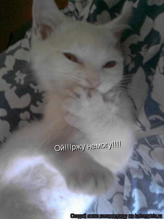 Ой!!!ржу немогу!!!!... Котоматрица: Ой!!!ржу немогу!!!!