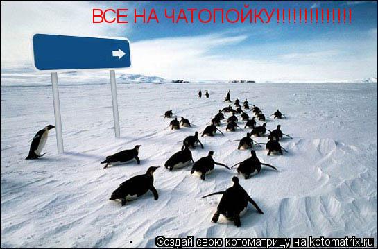 ВСЕ НА ЧАТОПОЙКУ!!!!!!!!!!!!!!... Котоматрица: ВСЕ НА ЧАТОПОЙКУ!!!!!!!!!!!!!!