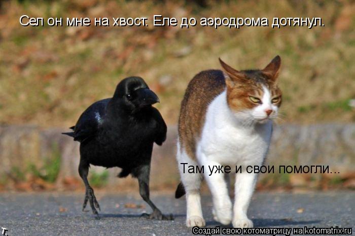 Сел он мне на хвост. Еле до аэродрома дотянул. Там уже и свои помогли...... Котоматрица: Сел он мне на хвост. Еле до аэродрома дотянул. Там уже и свои помогли...