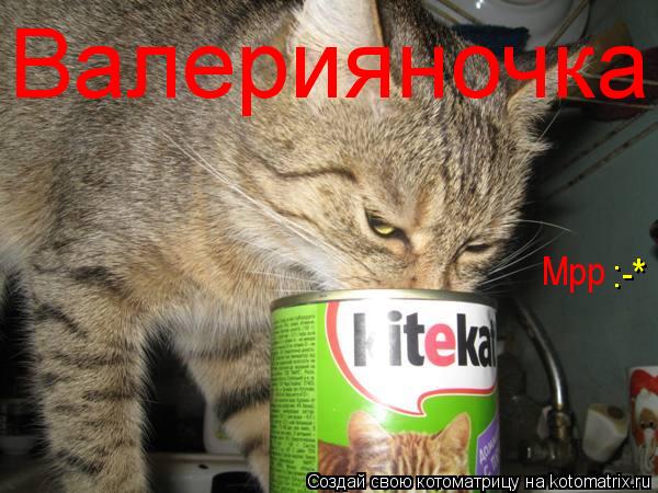Валерияночка Мрр :-*... Котоматрица: Валерияночка Мрр :-*