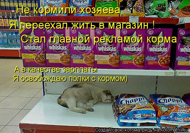 Не кормили хозяева Я переехал жить в магазин ! Стал главной рекламой корма А в качестве зарплаты Я ... Котоматрица: Не кормили хозяева Я переехал жить в магазин ! Стал главной рекламой корма А в качестве зарплаты Я освобождаю полки с кормом)