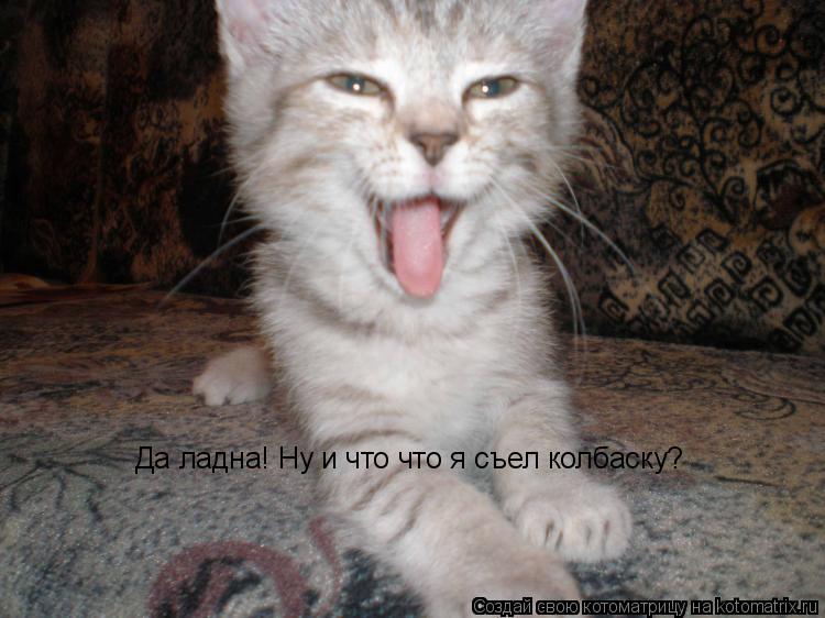 Котоматрица: Да ладна! Ну и что что я съел колбаску?