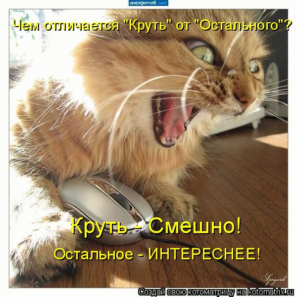 Чем отличается "Круть" от "Остального"? Круть - Смешно! Остальное - ИНТЕРЕСНЕЕ!... Котоматрица: Чем отличается "Круть" от "Остального"? Круть - Смешно! Остальное - ИНТЕРЕСНЕЕ!