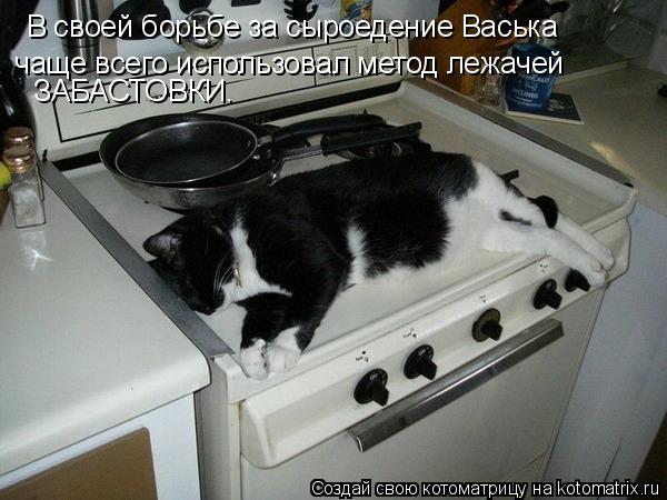 чаще всего использовал метод лежачей ЗАБАСТОВКИ. В своей борьбе за сыроедение Васька... Котоматрица: чаще всего использовал метод лежачей ЗАБАСТОВКИ. В своей борьбе за сыроедение Васька