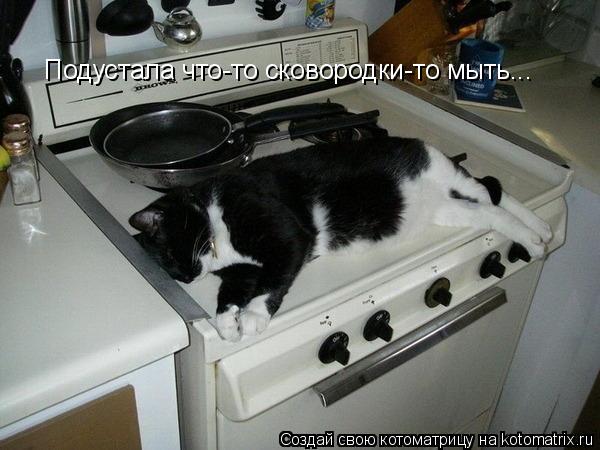 Подустала что-то сковородки-то мыть...... Котоматрица: Подустала что-то сковородки-то мыть...