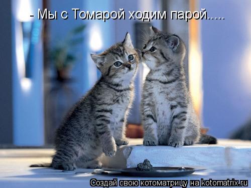 - Мы с Томарой ходим парой........ Котоматрица: - Мы с Томарой ходим парой.....