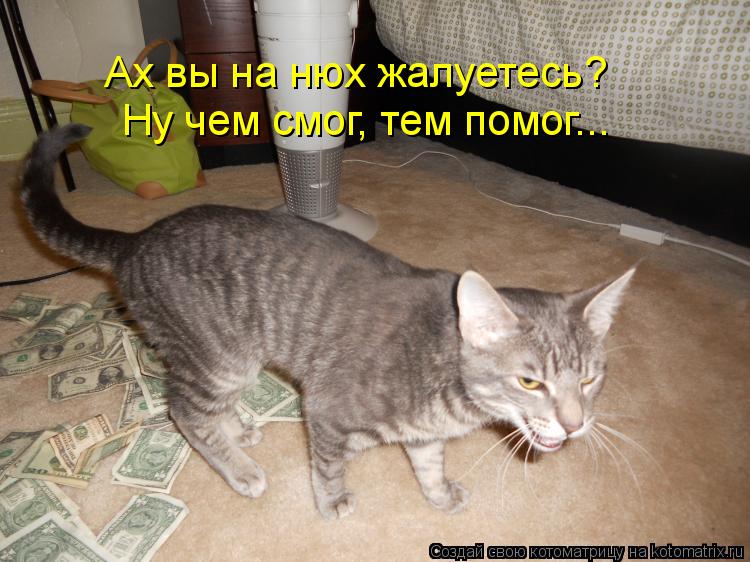 Ну чем смог, тем помог... Ах вы на нюх жалуетесь?... Котоматрица: Ну чем смог, тем помог... Ах вы на нюх жалуетесь?