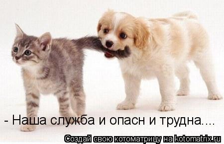 - Наша служба и опасн и трудна....... Котоматрица: - Наша служба и опасн и трудна....