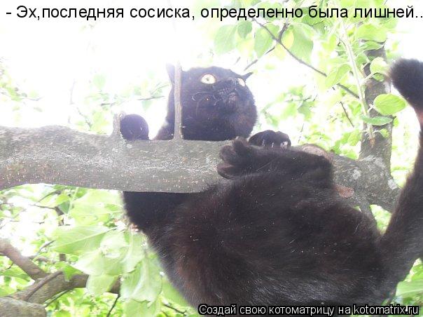 - Эх,последняя сосиска, определенно была лишней...... Котоматрица: - Эх,последняя сосиска, определенно была лишней...