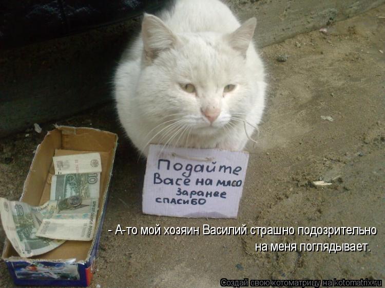 Котоматрица: - А-то мой хозяин Василий страшно подозрительно на меня поглядывает.