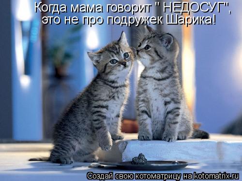 Когда мама говорит " НЕДОСУГ", это не про подружек Шарика!... Котоматрица: Когда мама говорит " НЕДОСУГ", это не про подружек Шарика!