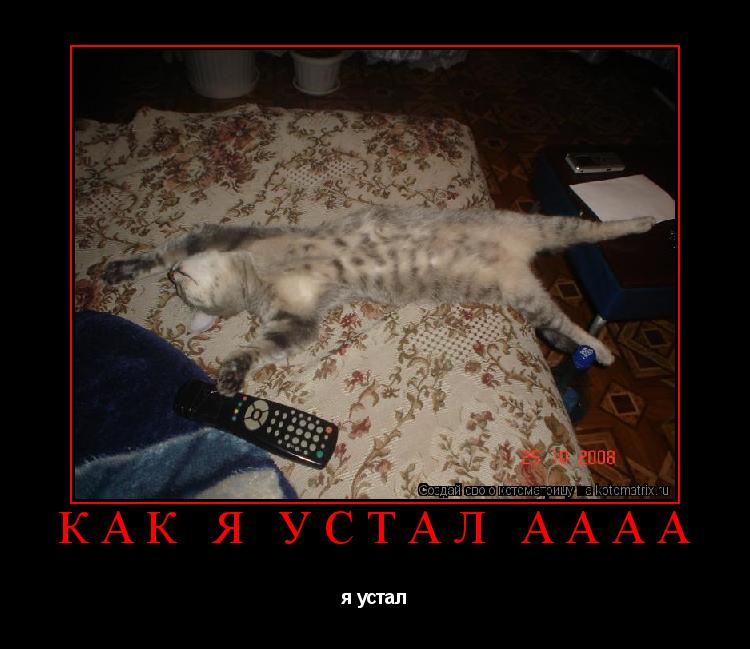 как я устал аааа я устал... Котоматрица: как я устал аааа я устал