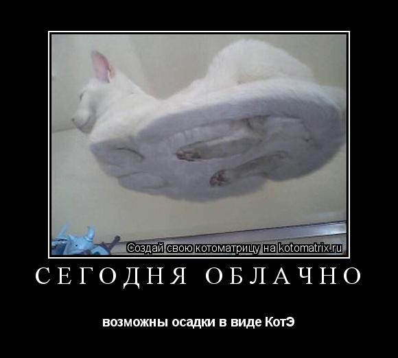 СЕГОДНЯ ОБЛАЧНО возможны осадки в виде КотЭ... Котоматрица: СЕГОДНЯ ОБЛАЧНО возможны осадки в виде КотЭ