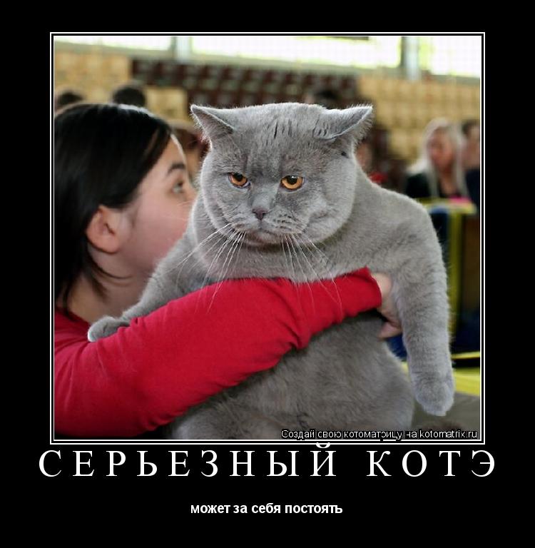 СЕРЬЁЗНЫЙ КОТЭ может за себя постоять... Котоматрица: СЕРЬЁЗНЫЙ КОТЭ может за себя постоять