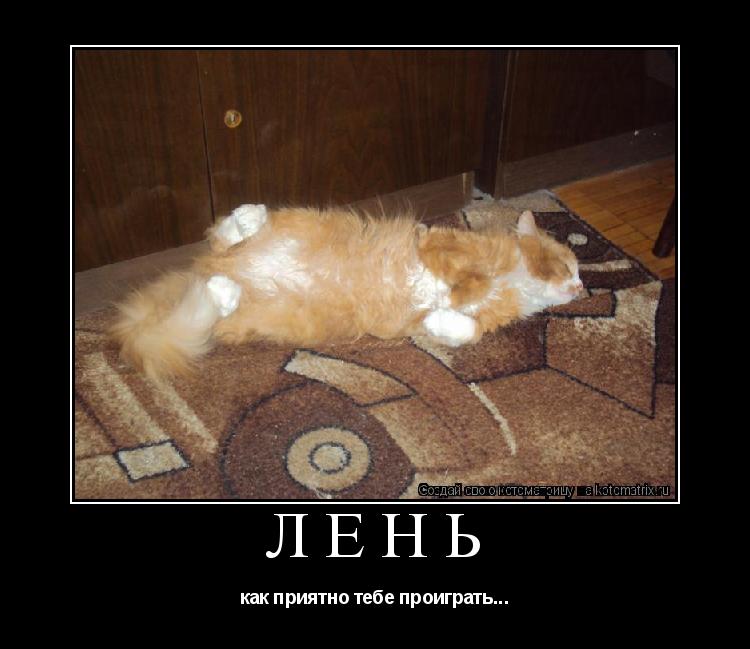 Котоматрица: Лень как приятно тебе проиграть...