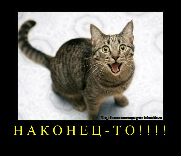 Наконец-то!!!! ... Котоматрица: Наконец-то!!!!