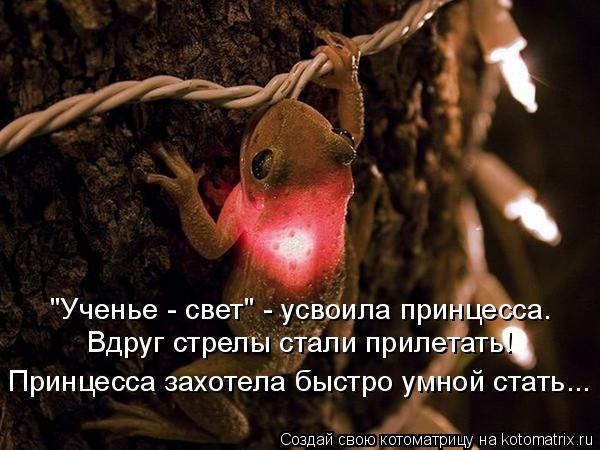 "Ученье - свет" - усвоила принцесса. Вдруг стрелы стали прилетать! Принцесса захотела быстро умной ст... Котоматрица: "Ученье - свет" - усвоила принцесса. Вдруг стрелы стали прилетать! Принцесса захотела быстро умной стать...