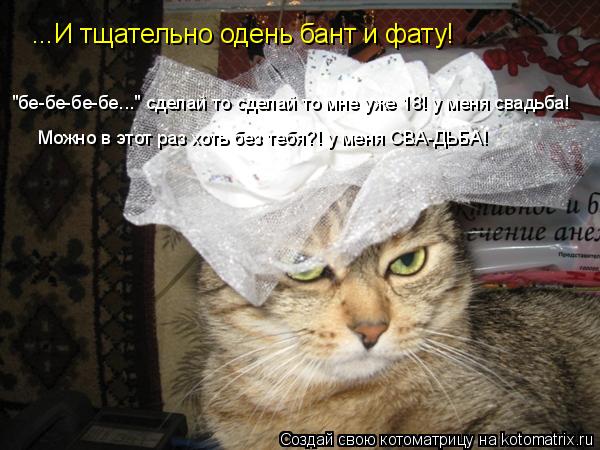 ...И тщательно одень бант и фату! "бе-бе-бе-бе..." сделай то сделай то мне уже 18! у меня свадьба! ... Котоматрица: ...И тщательно одень бант и фату! "бе-бе-бе-бе..." сделай то сделай то мне уже 18! у меня свадьба! Можно в этот раз хоть без тебя?! у меня СВА-ДЬБА!